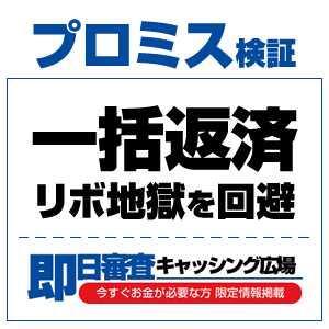 プロミス体験談!ネット振込で一括返済してみた!インターネットから手数料無料で24時間返済可能
